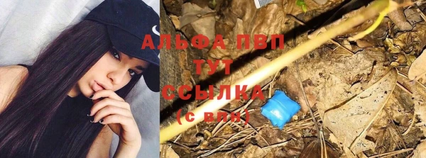 COCAINE Инсар