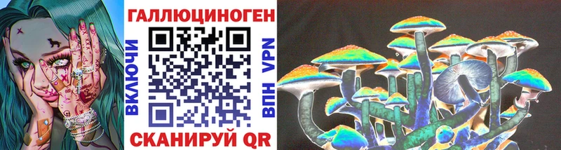 Галлюциногенные грибы мицелий  Купить где  Волхов 